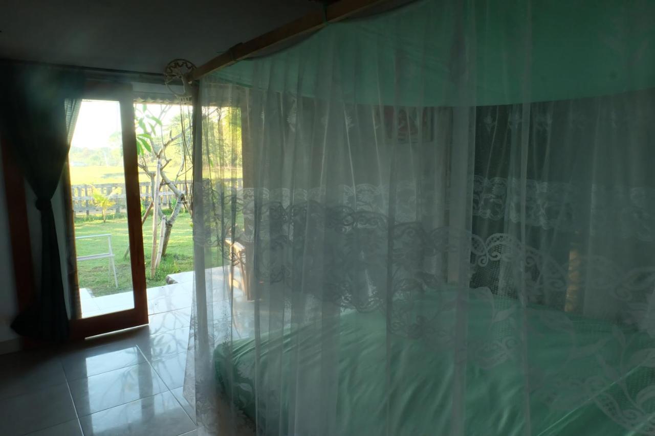 The Nyamo Surf & Stay Pulukan Ngoại thất bức ảnh